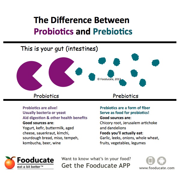 Probiotics-vs-Prebiotics-Graphic